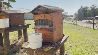 BeeHive Manifold